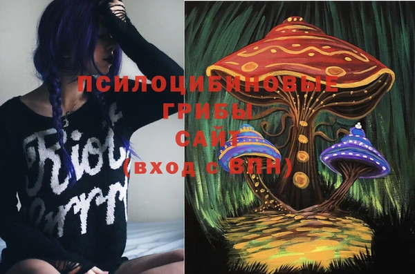 винт Аркадак