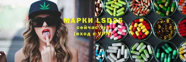 винт Аркадак