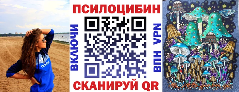 Галлюциногенные грибы Psilocybine cubensis  Орёл 